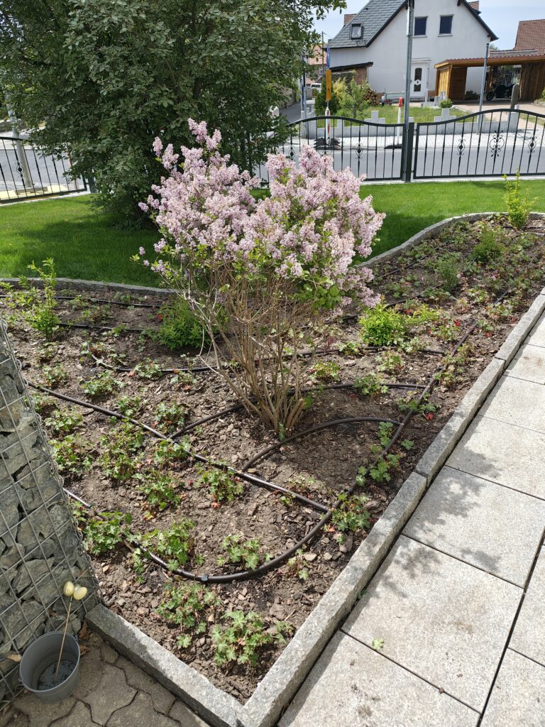 IMG_20250514_125238997_HDR