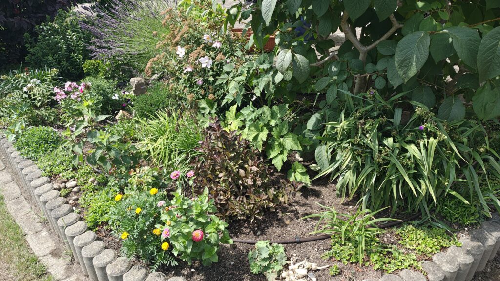 IMG_20250723_133832000_HDR